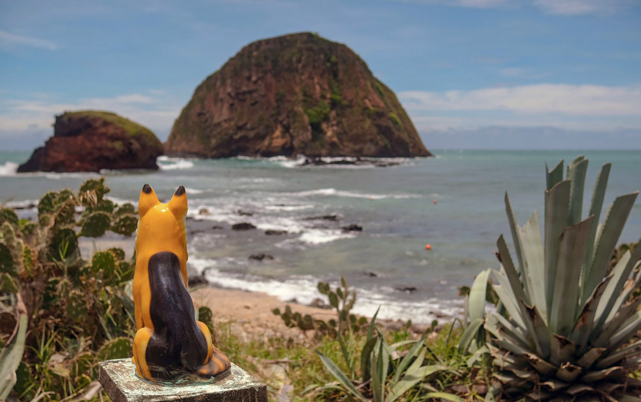 Dog's View