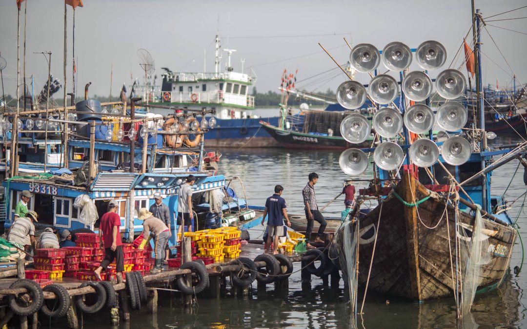 Vietnam Fishing Life
