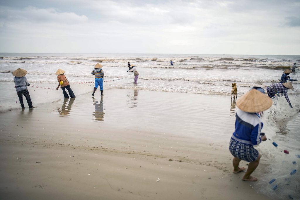 Bringing in the Nets