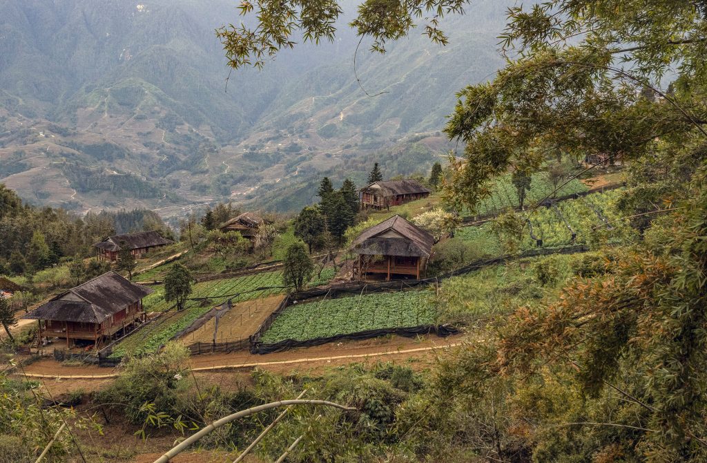 Sapa Village