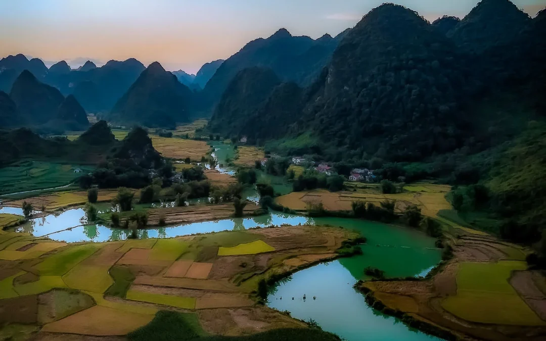 Phong Nam
