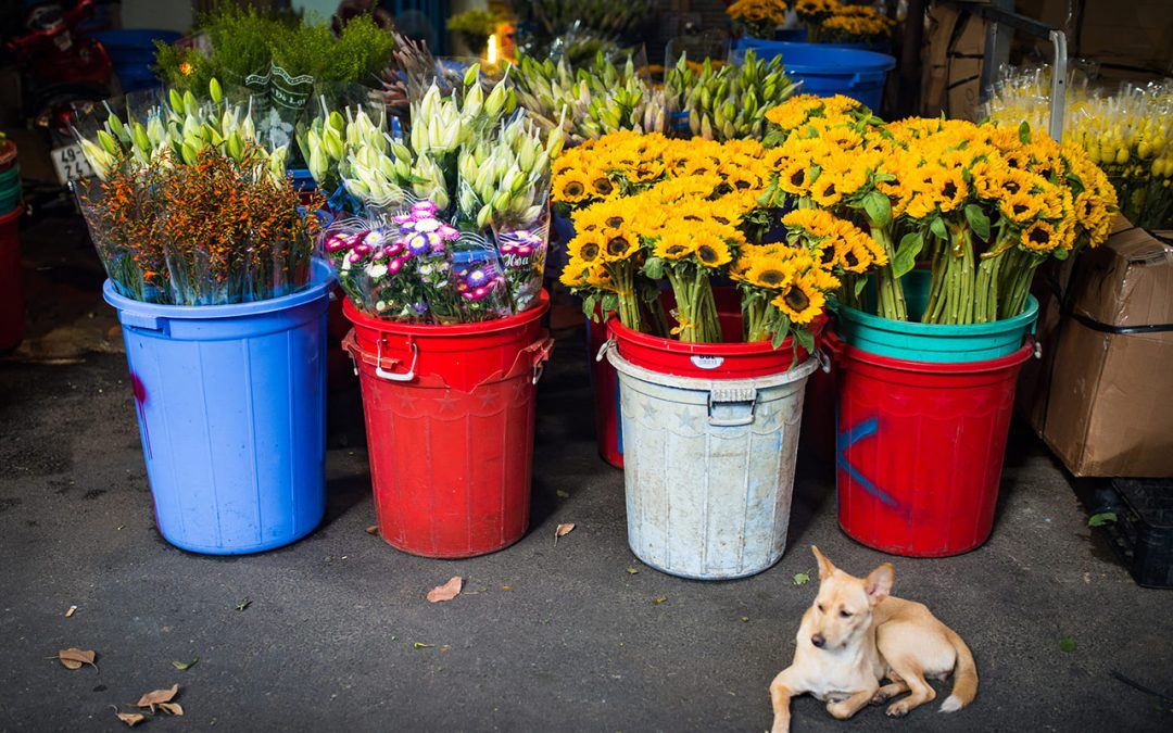 Flower Market