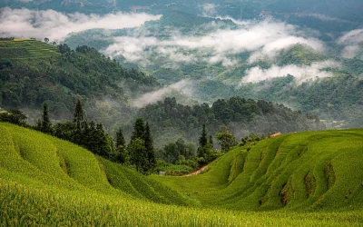 Hoang Su Phi