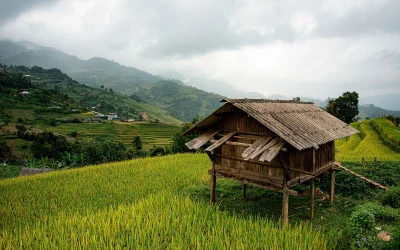 Mu Cang Chai