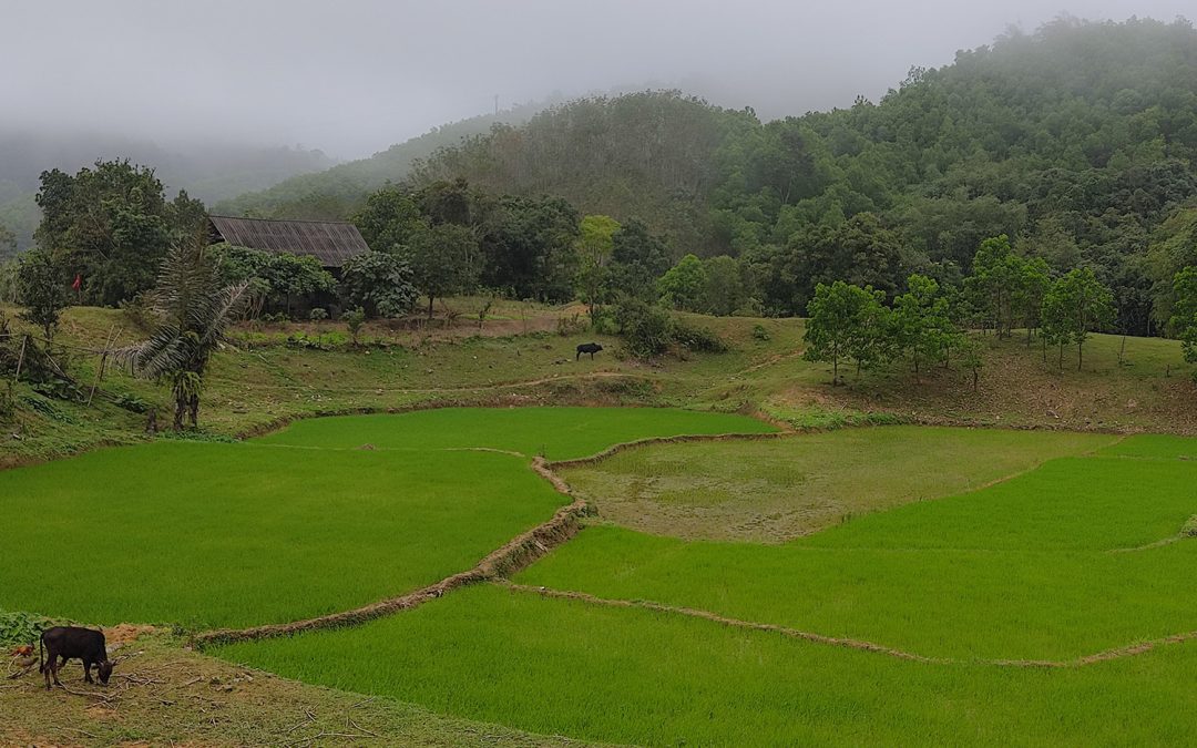Pu Luong Farm Road