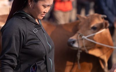 Meo Vac Sunday Market