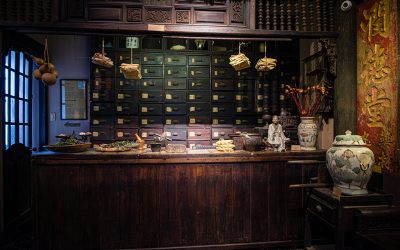 FITO – Museum of Traditional Medicine