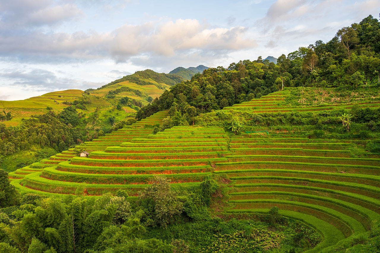 Lao Chai