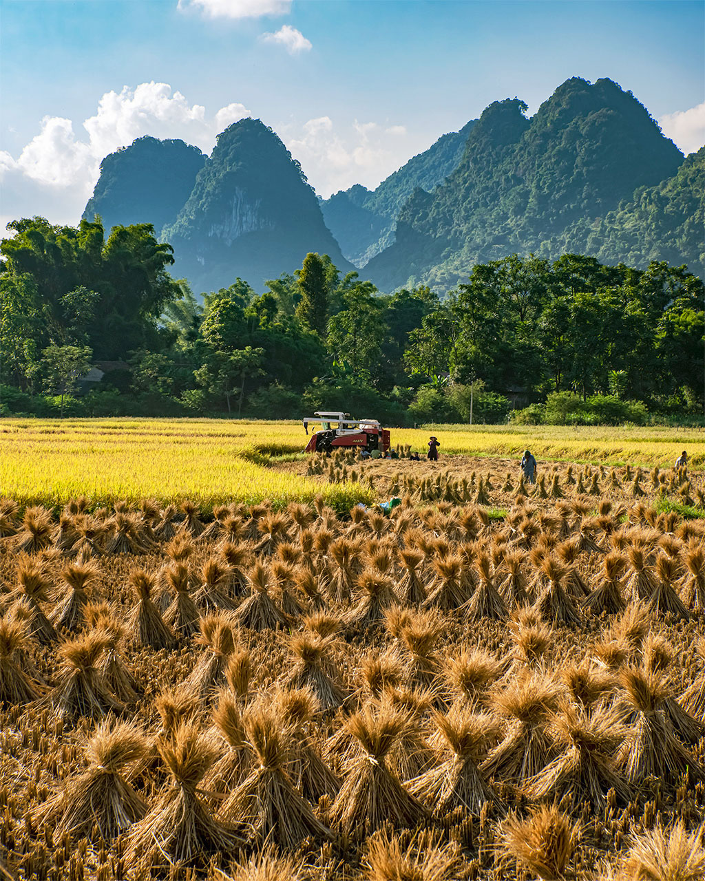 Cao Bang