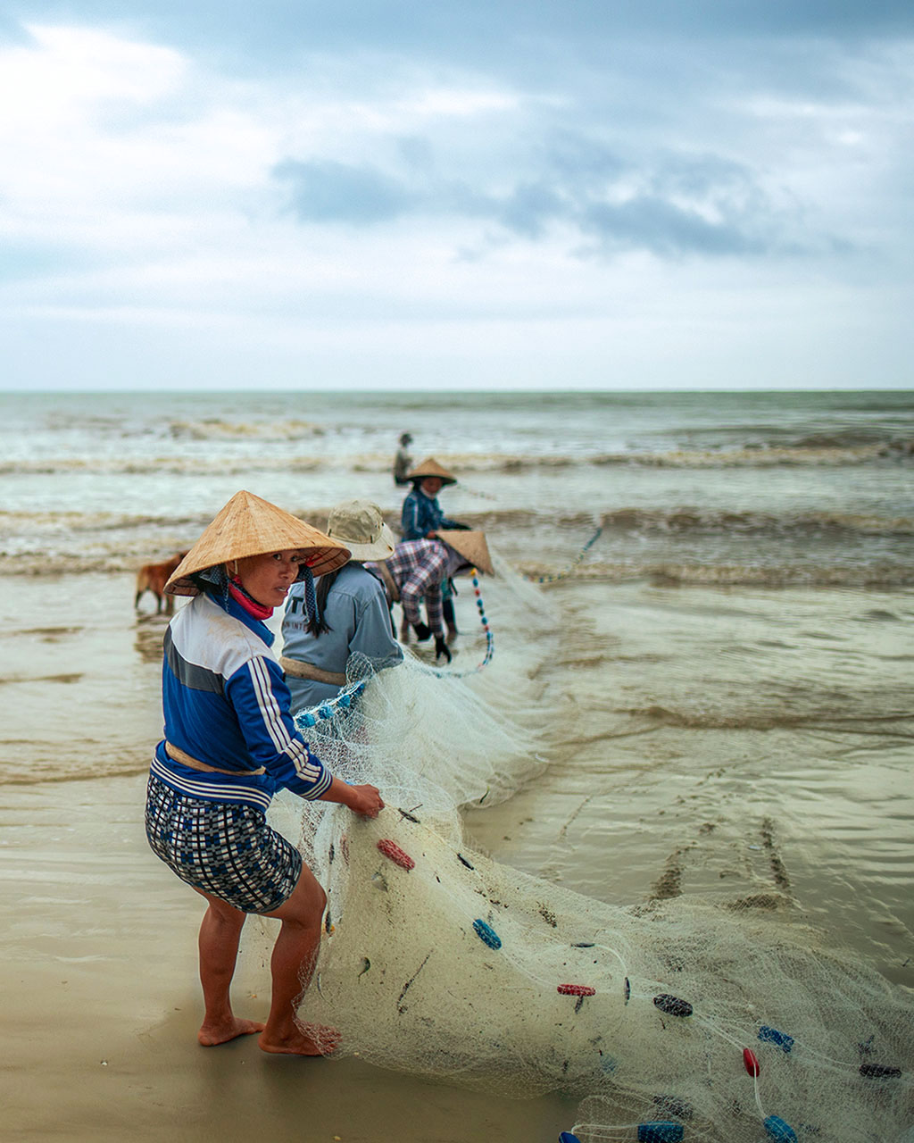 Morning Nets in Lăng Cô