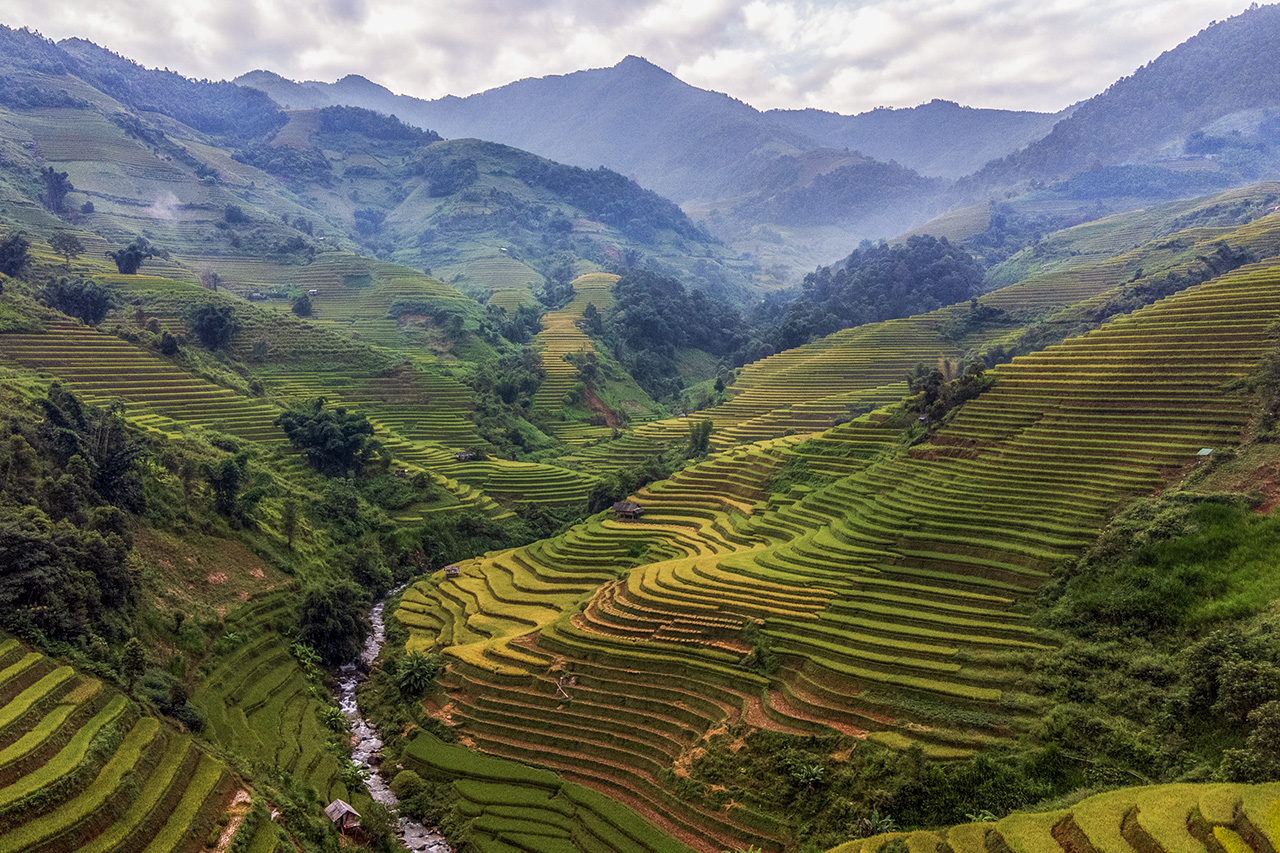 Lai Chau Valley