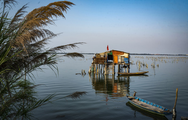 Oyster Farm Shack lang co