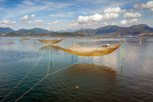 cam ranh.bay lift nets