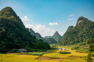 Cao Bang Angel Eye Mountain local farm