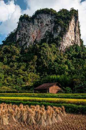 Cao Bang Homestead