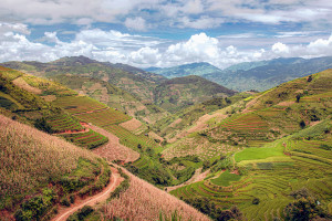 Mu Cang Chai rice and corn terraces