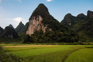 Phong Nam afternoon light