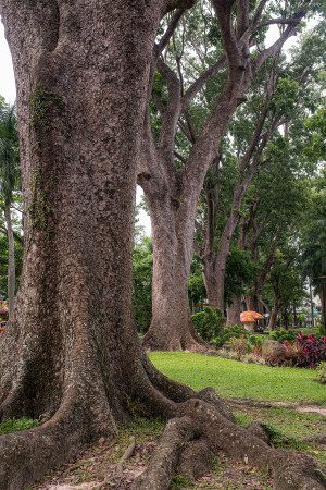 Saigon Zoo Park