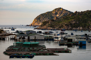 Vinh Hy Sunset